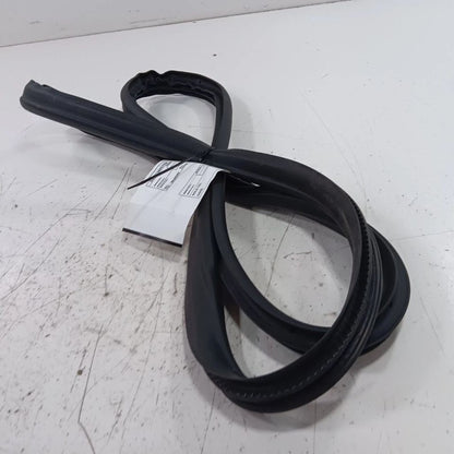Ford Ecosport On Body Door Jamb Seal Rear Left Back  2018 2019 2020 20
