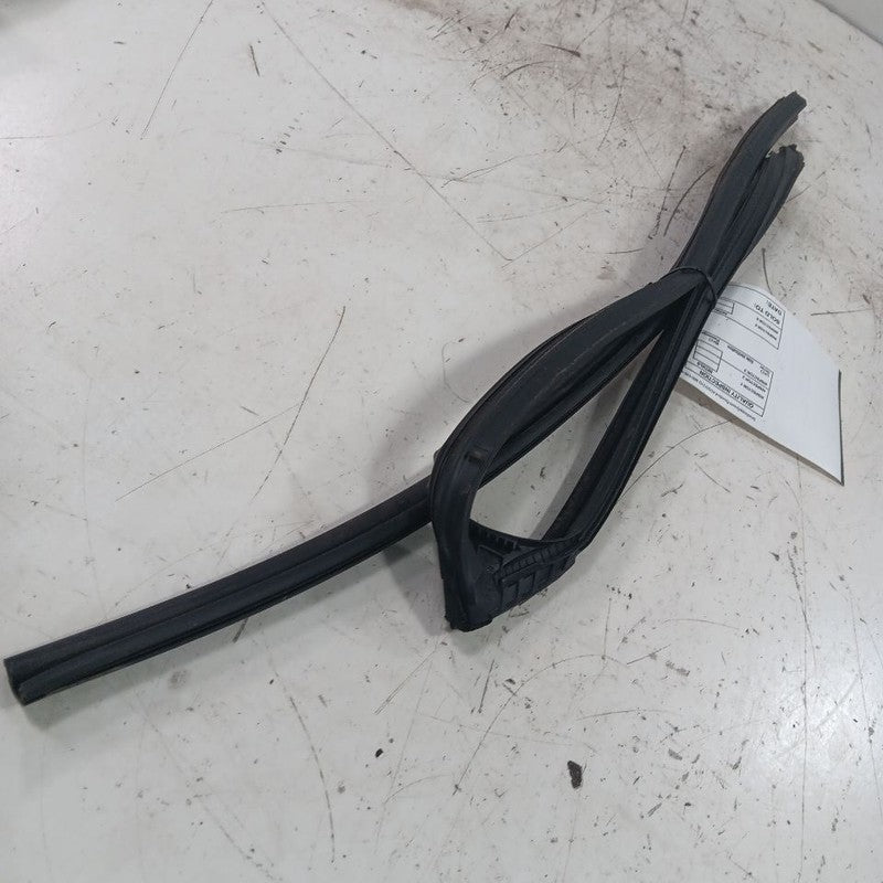 Toyota Corolla Door Glass Window Seal Rubber Left Driver Rear Back  20
