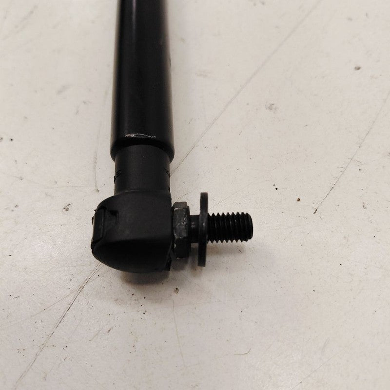 Ford Ecosport Hatchback Hatch Back Trunk Lid Shock Strut Support  2020