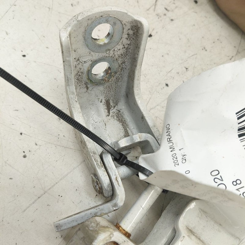 Nissan Murano Door Hinge Set Left Driver Rear  2020 2021 2022 2023