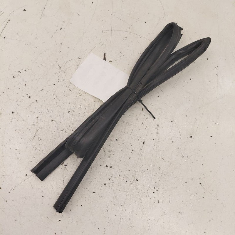 Kia Sportage Door Glass Window Seal Rubber Right Passenger Front  2020