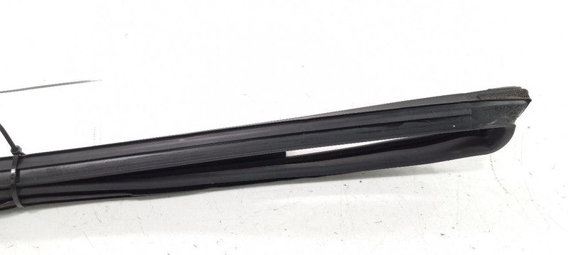 Nissan Altima Door Glass Window Seal Rubber Right Passenger Rear Back 2010 2009 