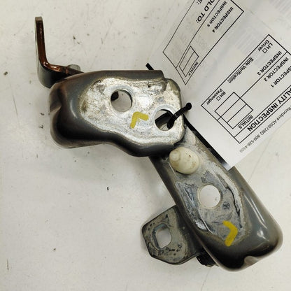 Ford Ecosport Door Hinge Set Left Front Driver  2020 2021 2022 OEM