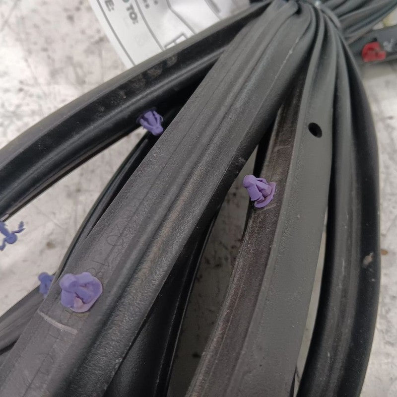 Jeep Compass On Door Seal Rubber Left Driver Front  2018 2019 2020 2021 2022