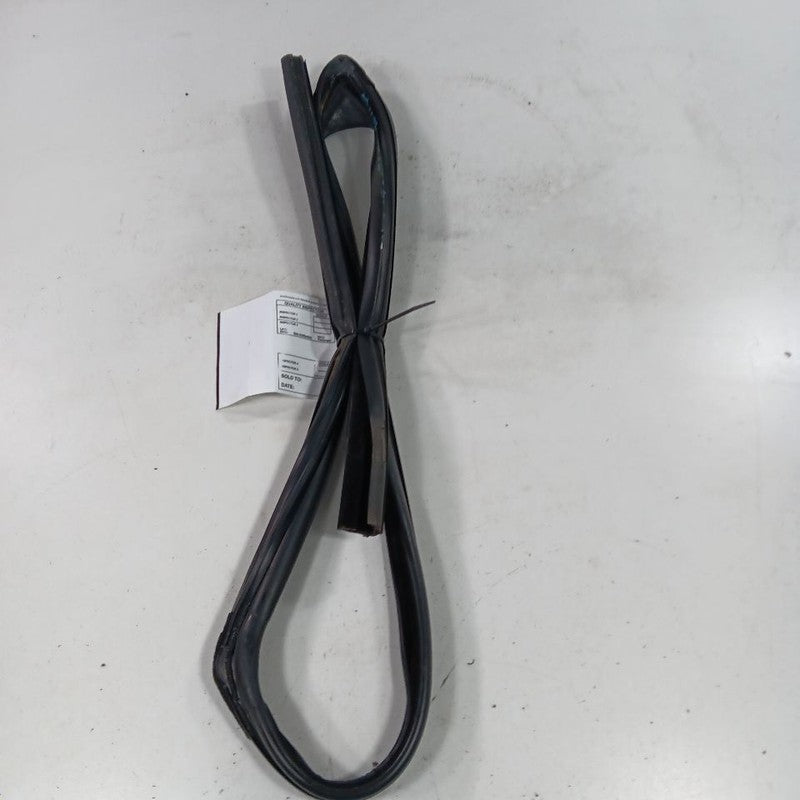 Ford Ecosport Door Glass Window Seal Rubber Left Driver Front  2018 20