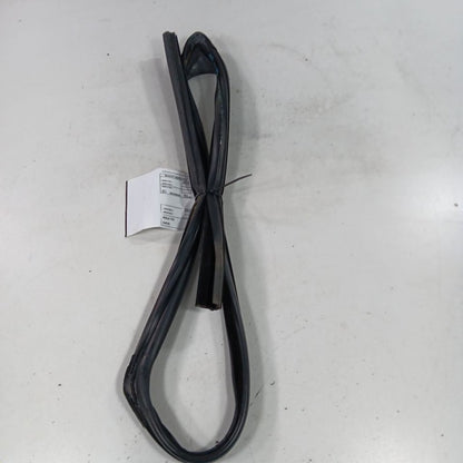 Ford Ecosport Door Glass Window Seal Rubber Left Driver Front  2018 20