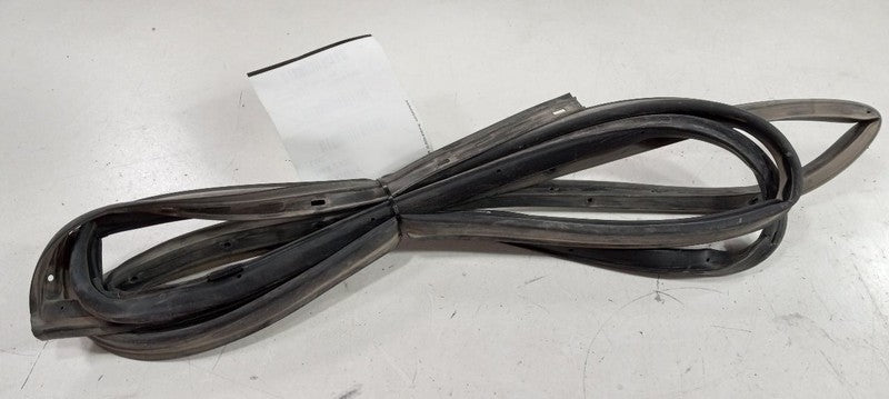 Kia Forte On Door Seal Rubber Left Rear Back 2010 2011 2012 2013 OEM