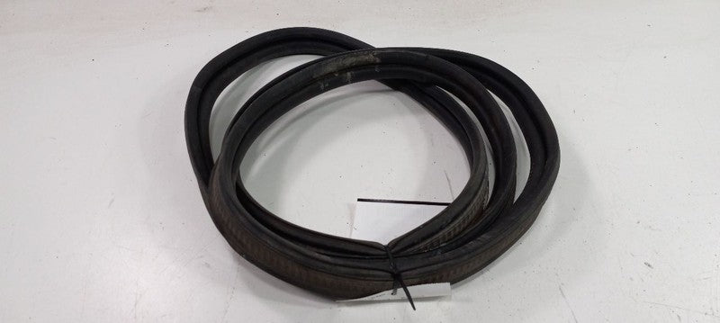Ford Focus Trunk Lid Hatch Door Rear Back Rubber Seal 2018 2017 2016 2