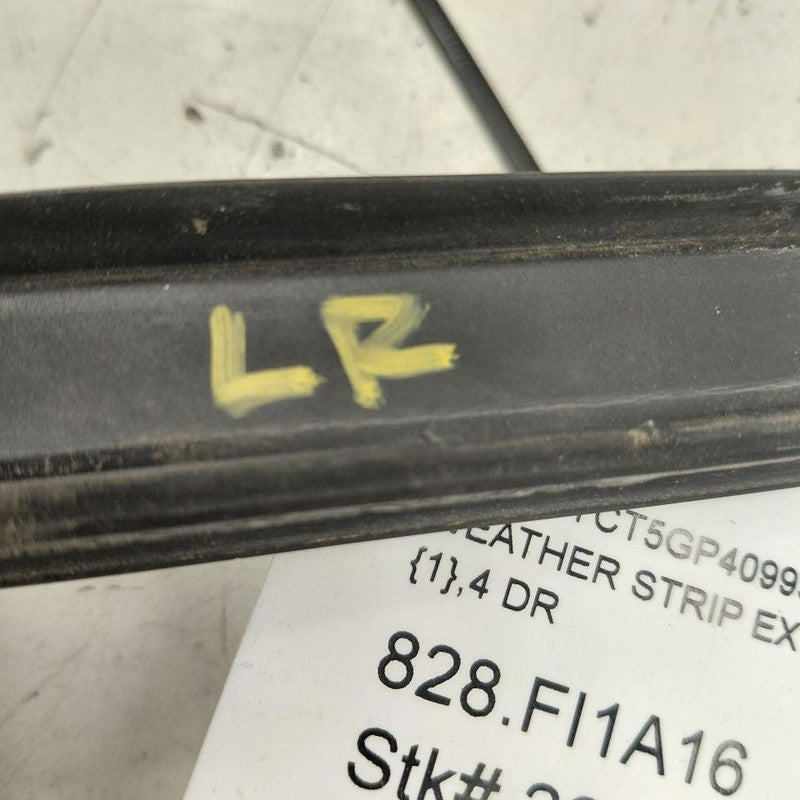 Fiat 500 X Model Door Glass Window Weather Strip Trim Rear Left Driver