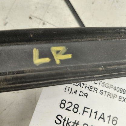 Fiat 500 X Model Door Glass Window Weather Strip Trim Rear Left Driver