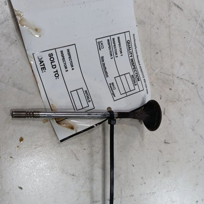 FIAT 500 2.4 Exhaust Valve  2017 2016 OEM