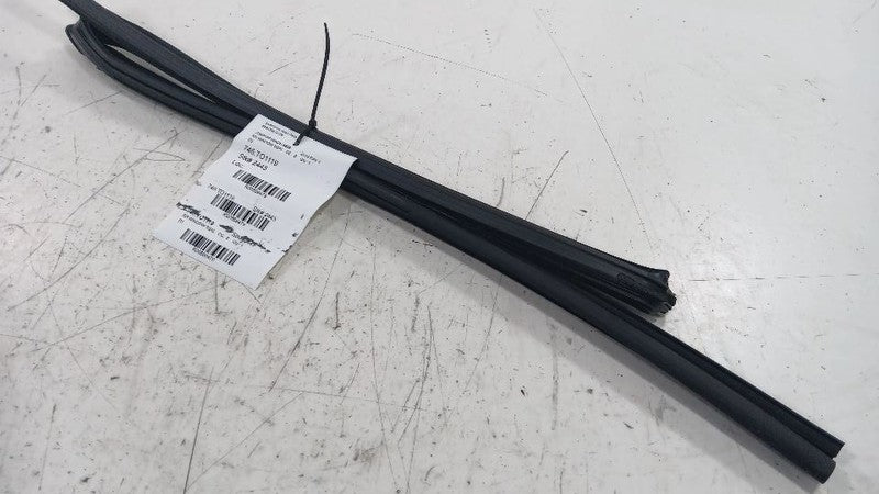 Toyota Rav 4 Door Glass Window Seal Rubber Right Passenger Rear Back  2019 2020 