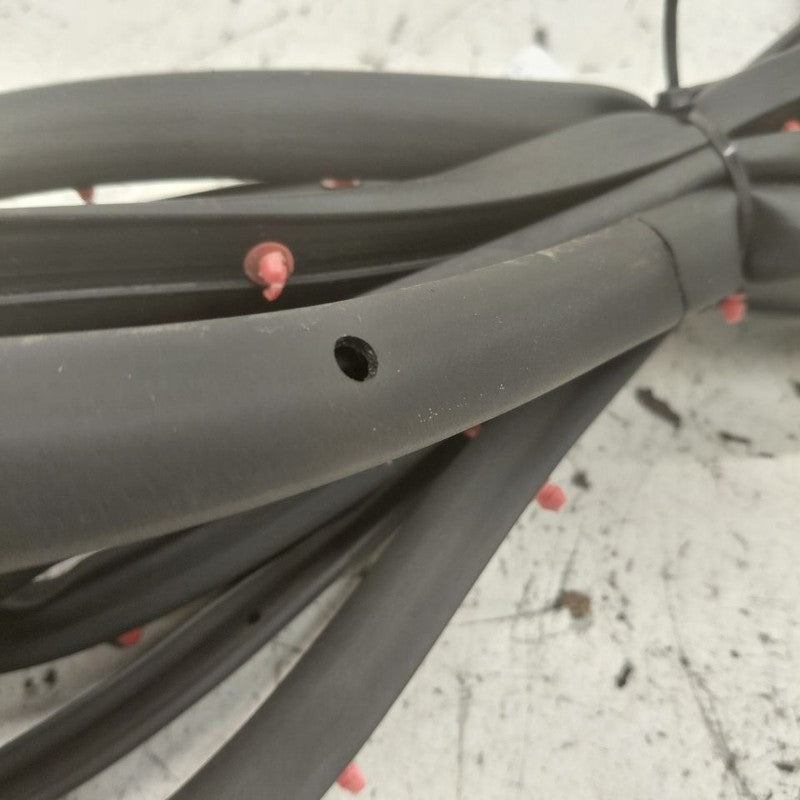 Buick Encore GX On Door Seal Rubber Left Driver Rear Back  2022 2023 2