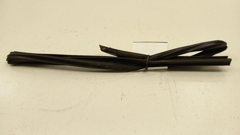 Ford Fiesta Door Glass Window Seal Rubber Right Passenger Rear Back 20