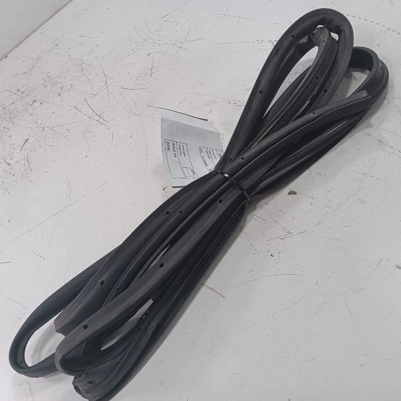 Ford Ecosport On Door Seal Rubber Right Passenger Rear Back  2022 2021