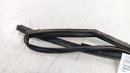 Mazda CX-9 Door Glass Window Seal Rubber Left Rear Back 2012 2011 2010