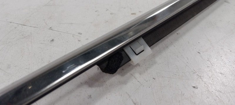 Hyundai Santa Fe Door Glass Window Weather Strip Trim Rear Right Passe