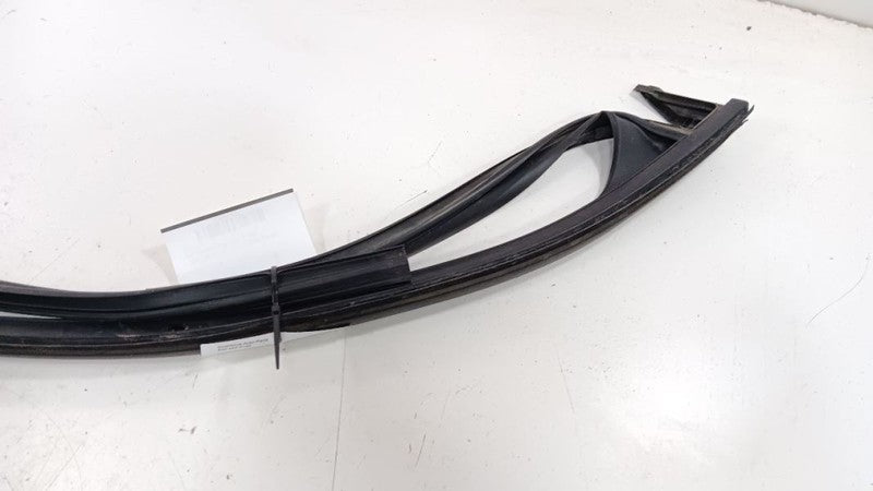 Chevrolet Equinox Door Glass Window Seal Rubber Right Passenger Front 