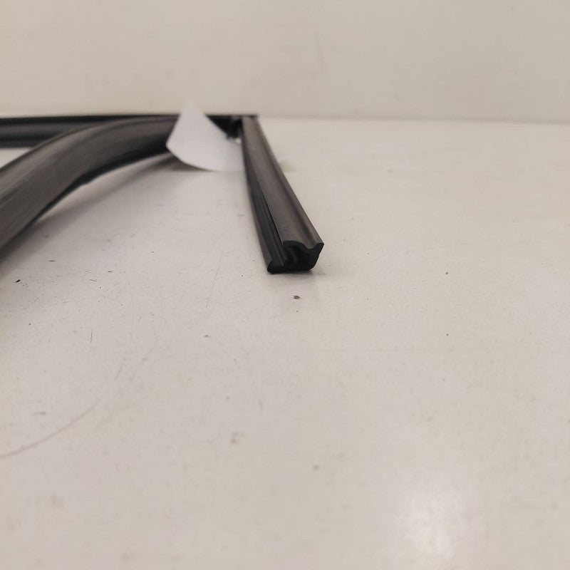 Ford Escape Door Glass Window Seal Rubber Left Driver Front  2020 2021