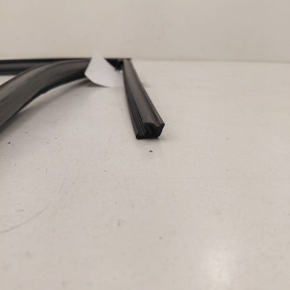 Ford Escape Door Glass Window Seal Rubber Left Driver Front  2020 2021