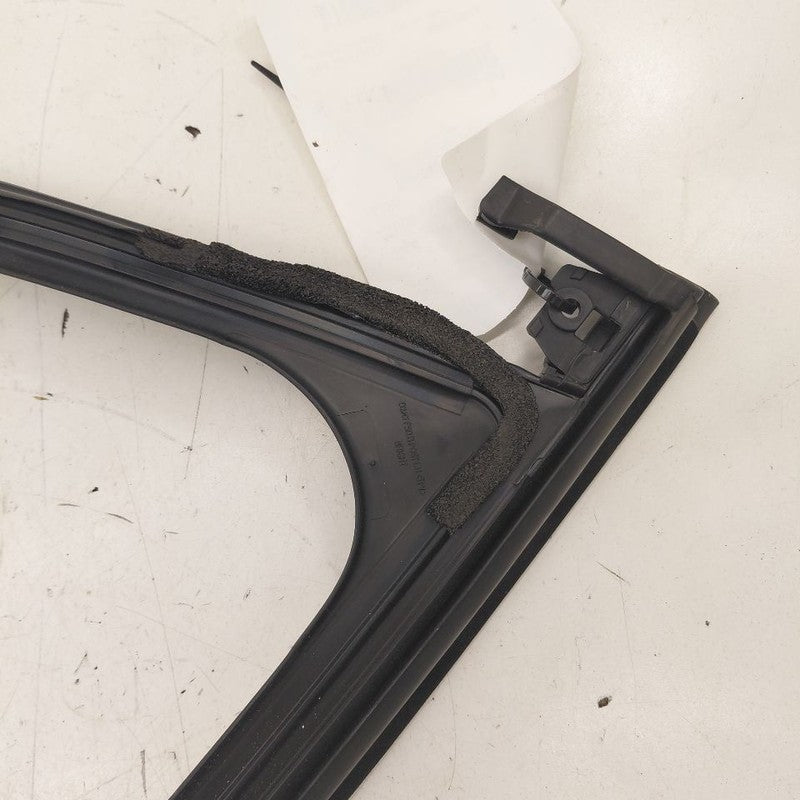 Chevy Volt Door Glass Window Seal Rubber Left Driver Front  2016 2017 