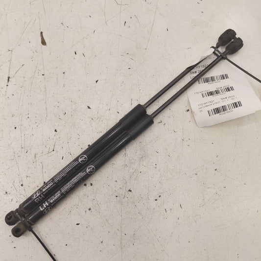 Hyundai Kona Hatchback Hatch Back Trunk Lid Shock Strut Support  2021 
