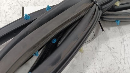 Dodge Dart On Door Seal Rubber Right Passenger Rear Back  2013 2014 20