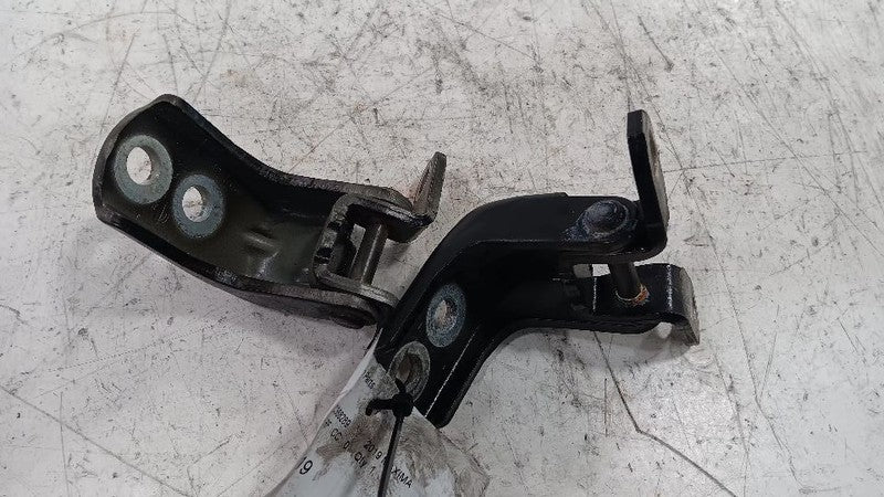 Nissan Maxima Door Hinge Set Right Front Passenger  2018 2019 2020 OEM