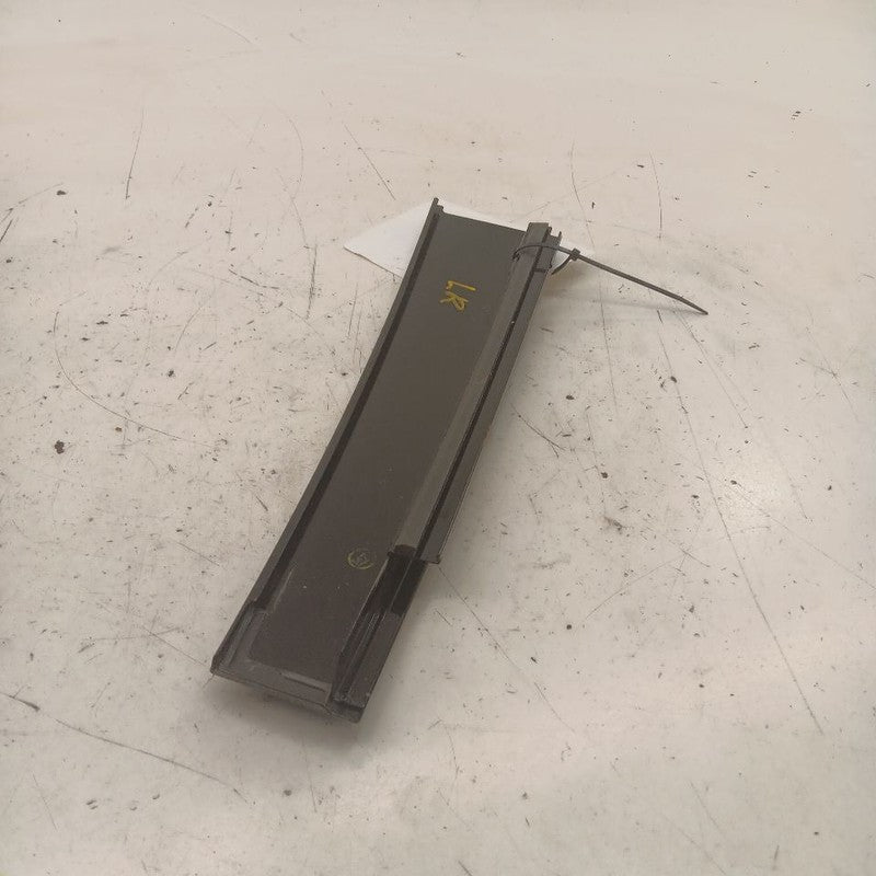 Cadillac XTS Left Rear Door Applique      2016 2017 2018