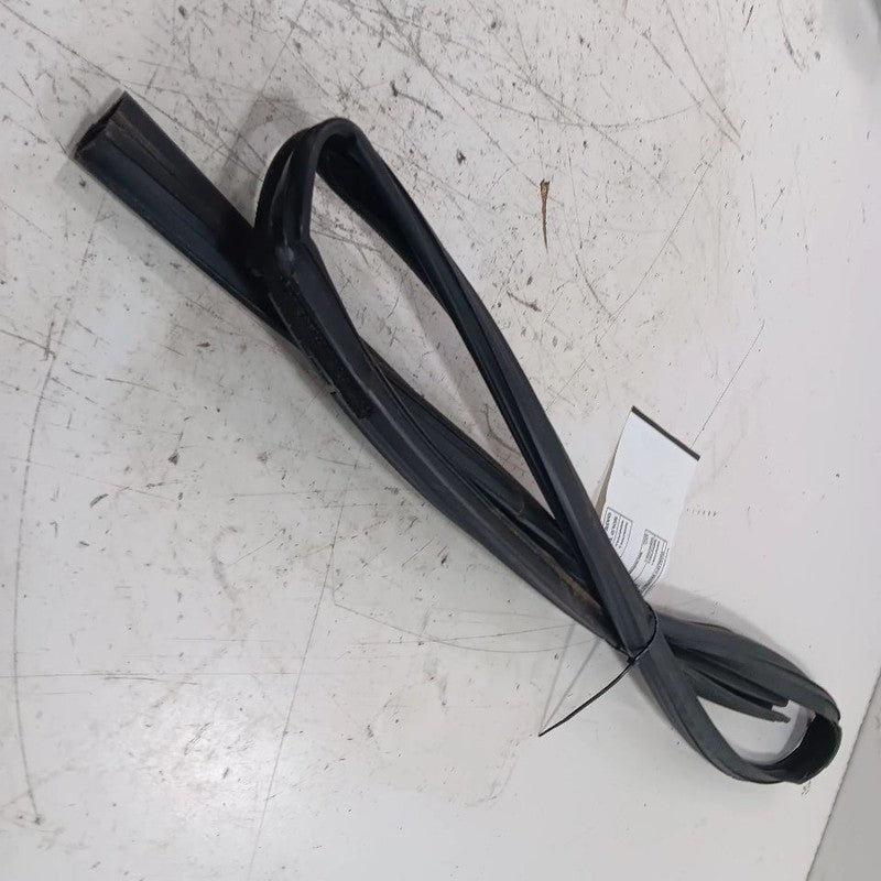 Nissan LEAF Door Glass Window Seal Rubber Left Driver Front  2013 2014