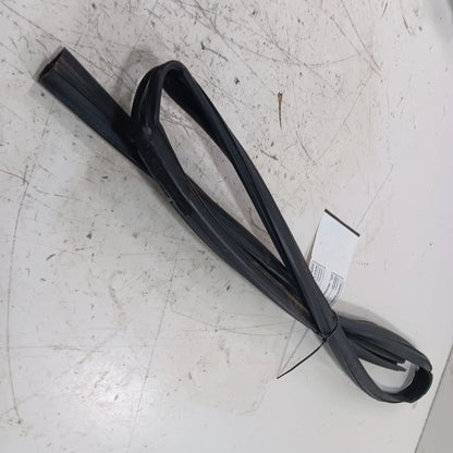 Nissan LEAF Door Glass Window Seal Rubber Left Driver Front  2013 2014