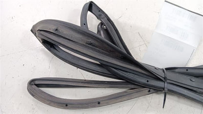 Kia Forte On Door Seal Rubber Right Passenger Rear Back 2016 2015 2014