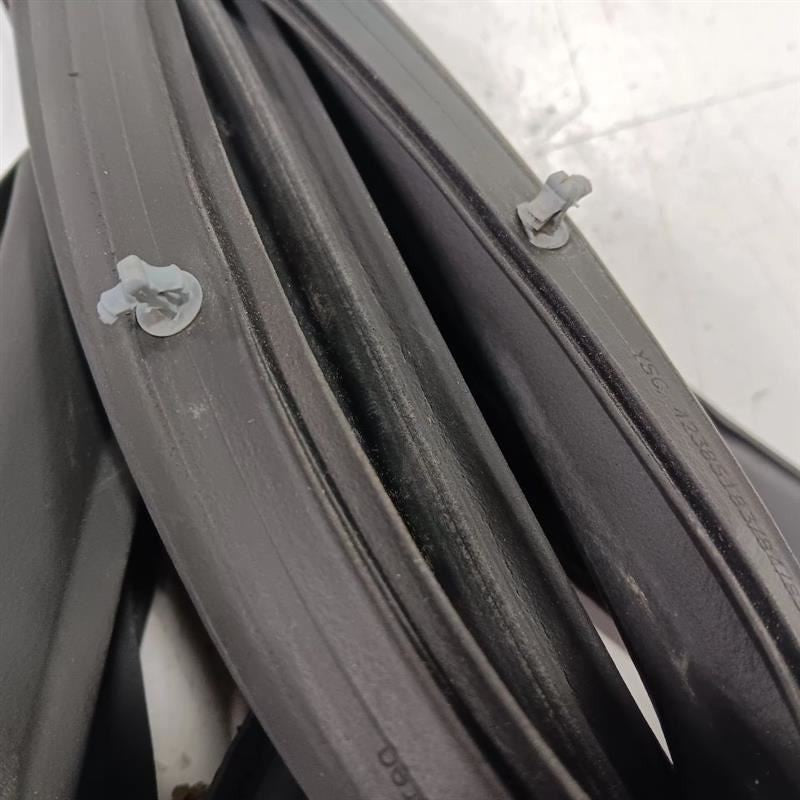 Buick Encore On Door Seal Rubber Right Passenger Rear Back  2018 2019 