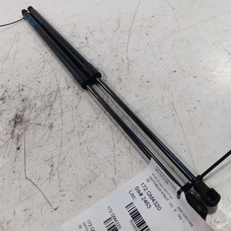 Buick Encore Hatchback Hatch Back Trunk Lid Shock Strut Support  2017 
