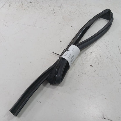 Ford Ecosport Door Glass Window Seal Rubber Left Driver Rear Back 2022