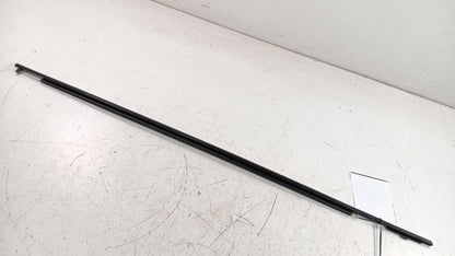 Toyota Prius Door Glass Window Weather Strip Trim Front Right Passenge