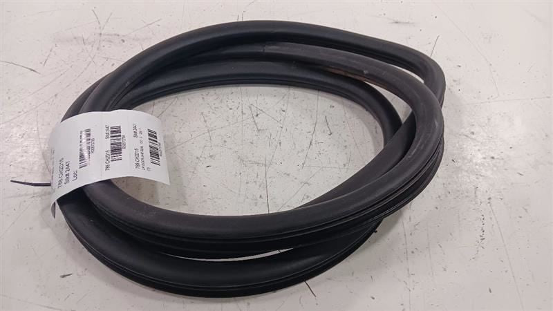 Dodge Dart On Body Door Jamb Seal Rear Left Back  2013 2014 2015 2016