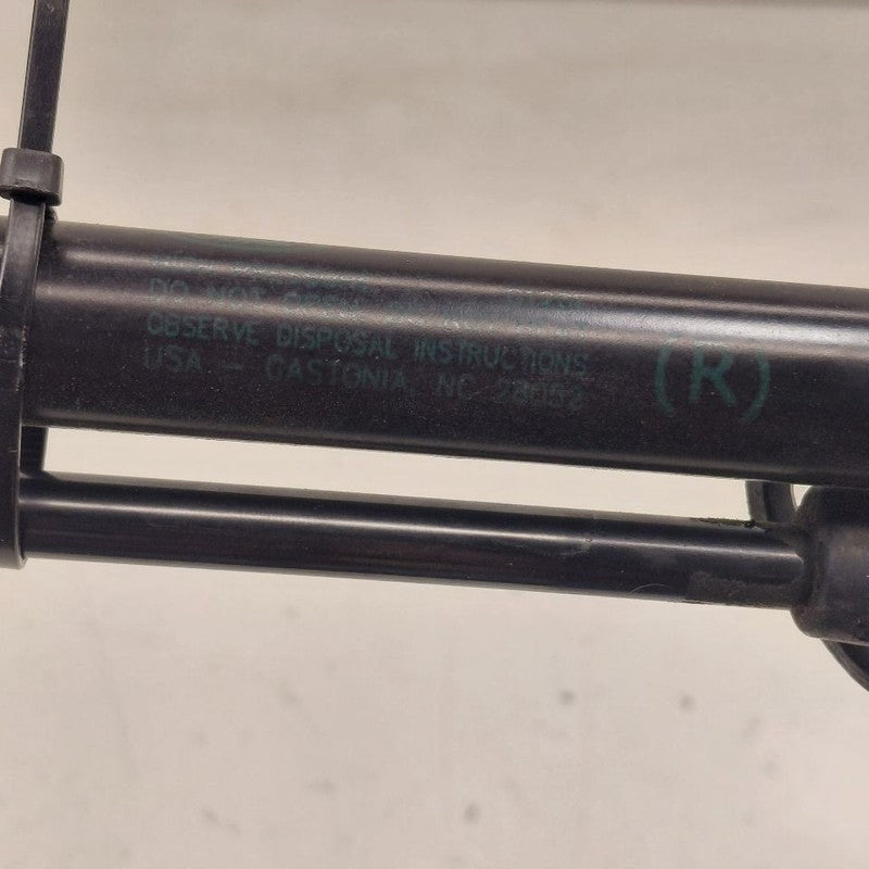 Ford Escape Hatchback Hatch Back Trunk Lid Shock Strut Support  2020 2