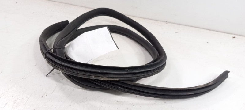 Hyundai Sonata On Body Door Jamb Seal Rear Left Back 2011 2012 2013 OE