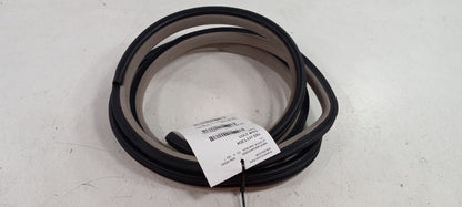 Hyundai XG350 On Body Door Jamb Seal Gasket Front Left Driver 2003 200