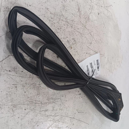 Hyundai Elantra On Door Seal Rubber Right Passenger Front  2017 2018 2