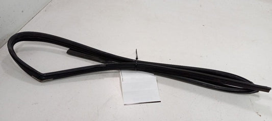 Hyundai Elantra Door Glass Window Seal Rubber Right Passenger Front 20