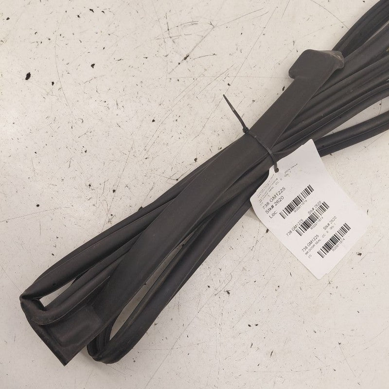 Chevy Trax On Door Seal Rubber Right Passenger Rear Back  2025 2024