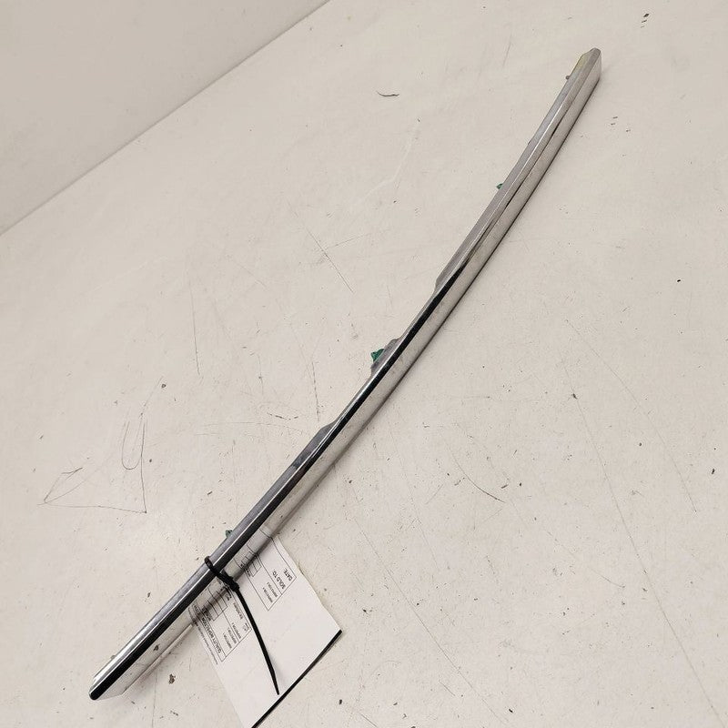 Nissan Rogue Tail Finish Panel  2017 2018 2019 OEM