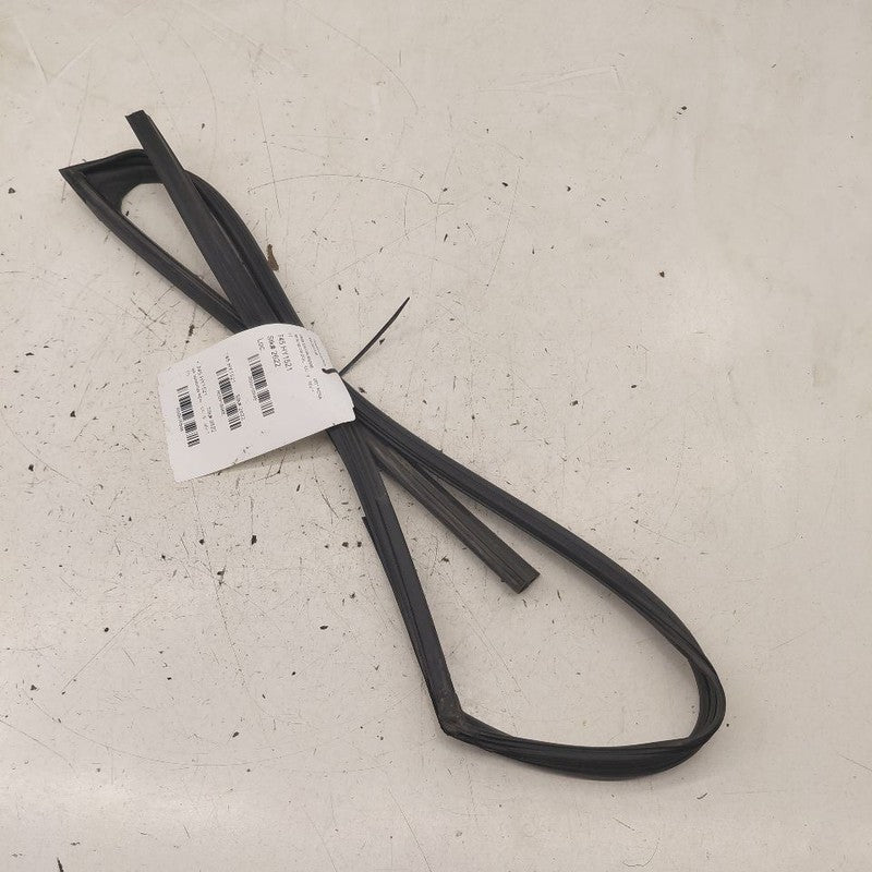 Hyundai Kona Door Glass Window Seal Rubber Right Passenger Front  2021