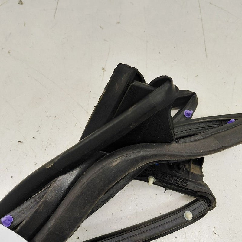Nissan Versa On Door Seal Rubber Left Driver Rear Back  2024 2023 2022