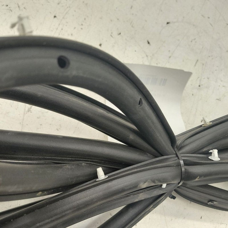 Ford Escape On Door Seal Rubber Right Passenger Front  2020 2021 2022
