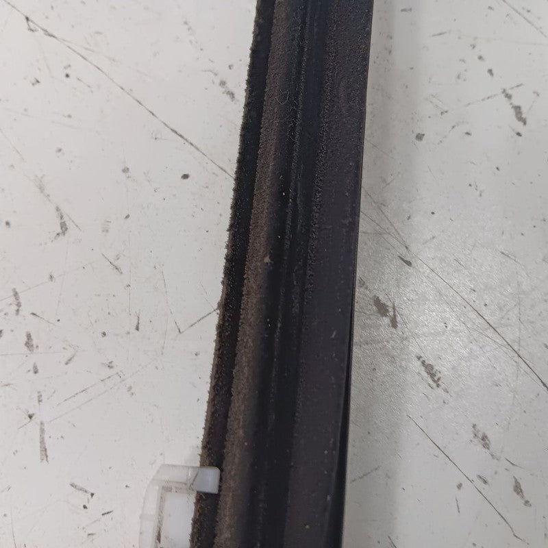 Acura ILX Door Glass Window Weather Strip Trim Front Left Driver  2016 2017 2018