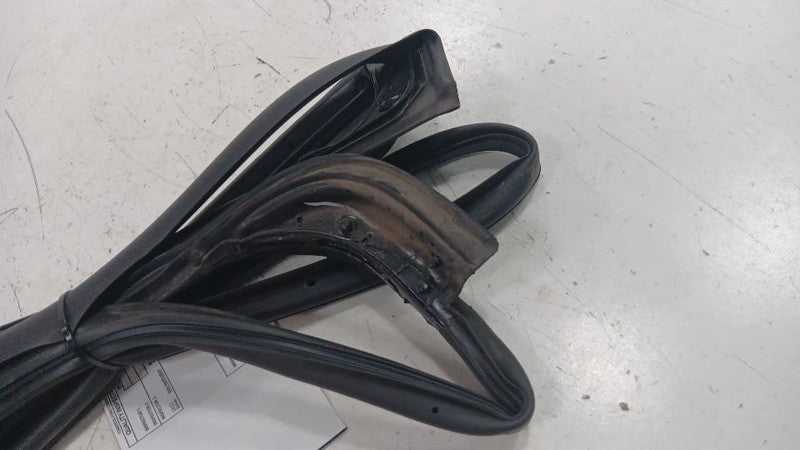 Chevy Volt On Door Seal Rubber Left Rear Back  2011 2012 2013 2014 201