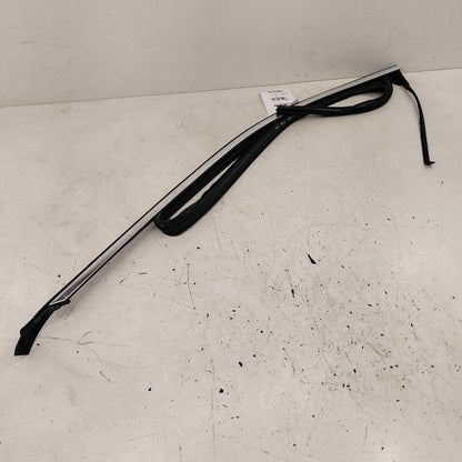 Cadillac CT6 Door Glass Window Seal Rubber Left Driver Front  2018 201